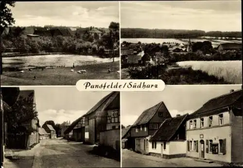 Ak Pansfelde Falkenstein im Harz, See, Straße, Ortsansicht, Häuser