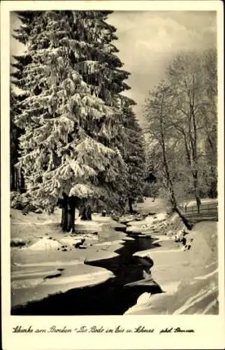 Ak Schierke Wernigerode am Harz, Bode in Eis und Schnee, Winter