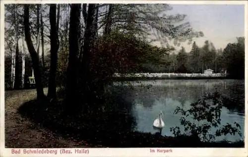 Ak Bad Schmiedeberg Dübener Heide, Kurpark