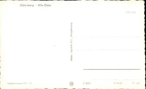 Ak Oderberg in der Mark, Alte Oder, Brücke, Ruderboot