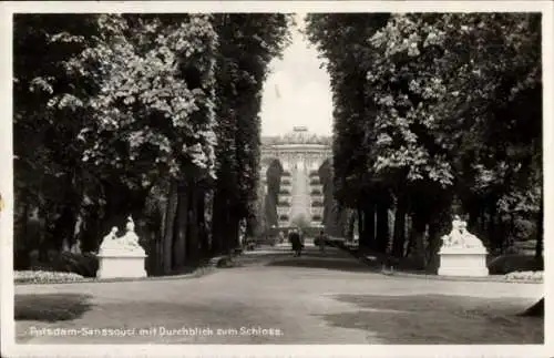 Ak Potsdam Sanssouci, Park, Durchblick zum Schloss, Statuen