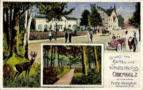 Ak Liebertwolkwitz Leipzig in Sachsen, Hotel und Waldschloss Oberholz