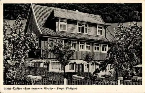 Ak Zorge Südharz, Hotel zum braunen Hirsch, Wilhelmplatz 3