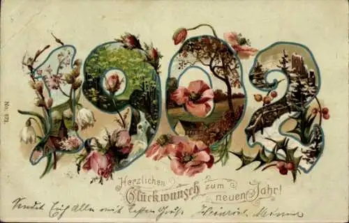 Litho Glückwunsch Neujahr, Jahreszahl 1902, Mohnblumen, Schneeglöckchen