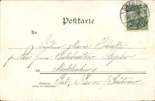 Ak Glückwunsch Neujahr, Jahreszahl 1902, Blumen