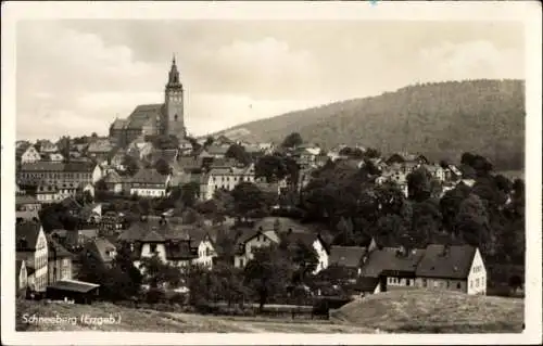 Ak Schneeberg im Erzgebirge, Gesamtansicht