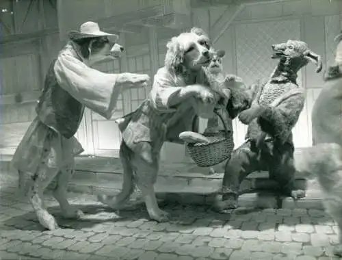 Foto Vermenschlichte Tiere, ausgestopft ?, um 1980