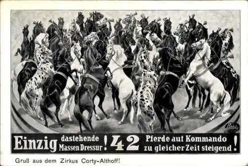 Ak Zirkus Corty-Althoff, Pferde, Massen Dressur