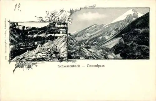 Ak Kandersteg Kt. Bern Schweiz, Schwarenbach, Gemmipass