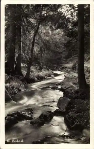 Ak Braunlage im Oberharz, Bodetal