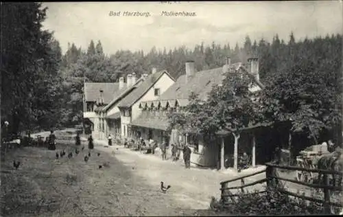 Ak Bad Harzburg am Harz, Molkenhaus