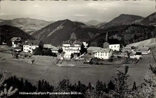 Ak Puchenstuben Niederösterreich, Panorama