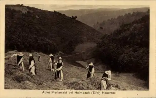 Ak Heimbach in der Eifel, Abtei Mariawald, Heuernte, Nonnen