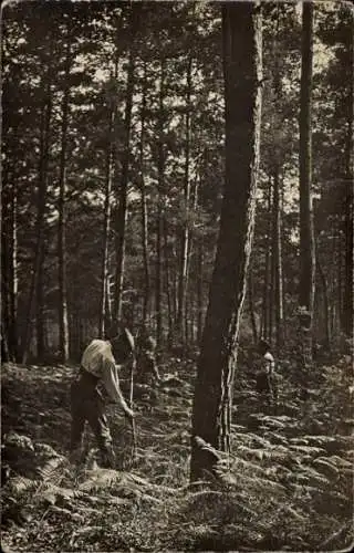 Ak Deutsche Soldaten im Wald