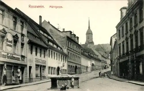 Ak Roßwein in Sachsen, Mühlgasse, Kaufhaus Goldmann