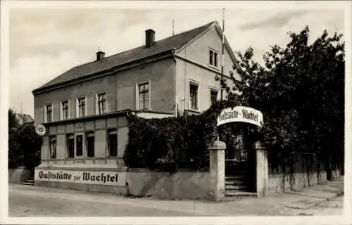 Ak Meißen in Sachsen, Gaststätte zur Wachtel, Garteneingang, Straßenansicht