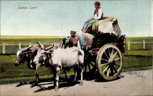 Ak Indonesien, Cotton Cart