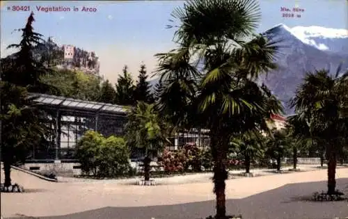 Ak Arco Trentino Südtirol, Vegetation im Ort, Garten, Burg, Palmen