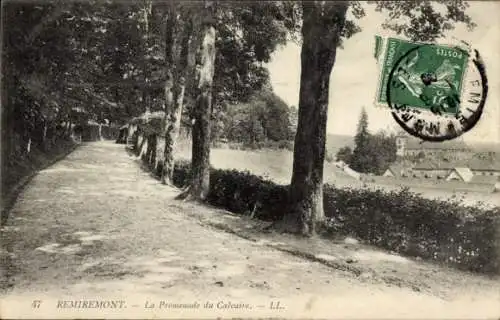 Ak Remiremont Lorraine Vosges, Promenade du Calvaire