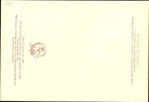 Ak Schauspieler Renato Salvatori, Großmutter Sabella