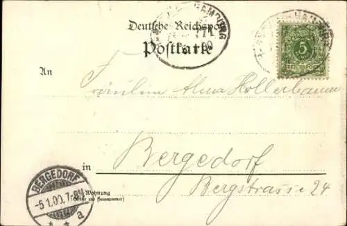 Litho Unterlüß Unterlüss Südheide, Hubachs Gasthaus, Oberförsterei, Urwald