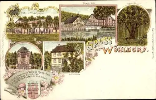 Litho Hamburg Wandsbek Wohldorf, Kupferhof, Hotel zum Waldhaus, Herrenhaus