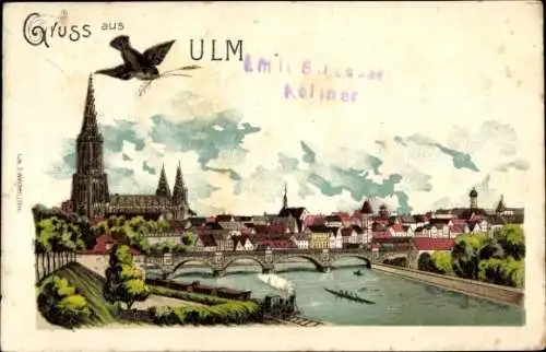 Litho Ulm an der Donau, Gesamtansicht, Vogel, Brücke