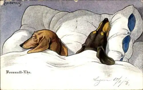 Künstler Ak Quidenus, F., Vernunft-Ehe, Zwei Dackel schlafen im Bett