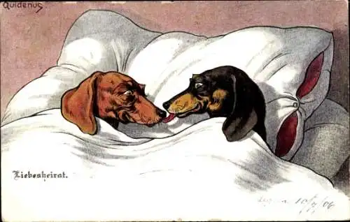 Künstler Ak Quidenus, Fritz, Liebesheirat, Dackel, Liebespaar