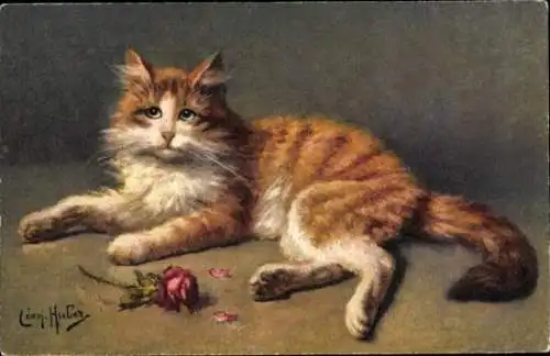 Künstler Ak Huber, Leon, Liegende Katze mit Rosenblüte