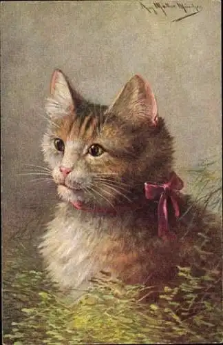 Künstler Ak Müller, August, Braune Katze mit Schleife im Gras