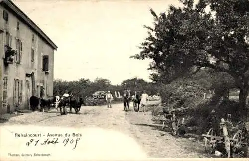 Ak Rehaincourt Vosges, Avenue du Bois