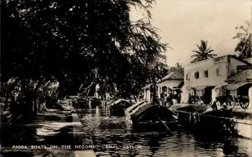 Ak Negombo Sri Lanka, Padda-Boote auf dem Negombo-Kanal