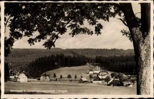 Ak Steinbach Johanngeorgenstadt Erzgebirge, Teilansicht