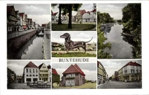 Ak Buxtehude im Kreis Stade, Dackel, Geschäft, Straßenpartie, Fluss