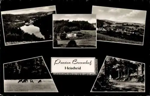 Ak Denklingen Reichshof Oberbergischer Kreis, Heischeid, Pension Bornerhof, Rehe, Gesamtansicht