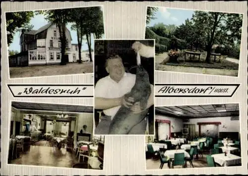 Ak Albersdorf in Dithmarschen, Hotel Pension Waldesruh, Gartenansicht, Innenansichten, Seehund