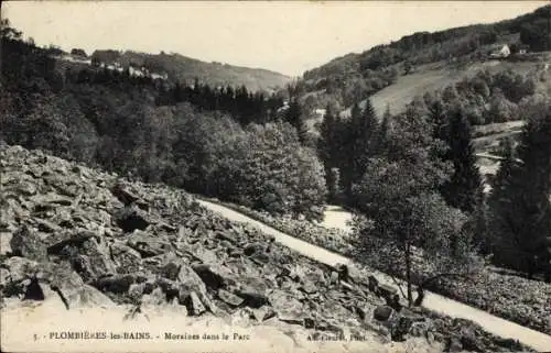 Ak Plombières les Bains Lothringen Vosges, Moraines dans le Parc