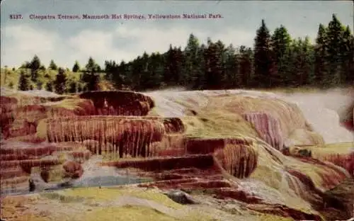 Ak Wyoming USA, Yellowstone National Park, Mammoth Hot Springs, Cleopatra Terrace