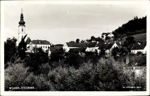 Ak Wildon Steiermark, Teilansicht