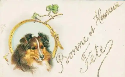 Glitzer Litho Glückwunsch, Hund-Portrait, Collie