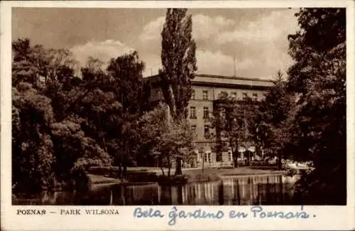 Ak Poznań Posen, Park Wilsona