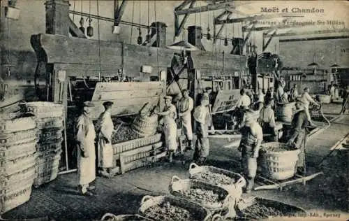 Ak Epernay Marne, Moët et Chandon, Pressing