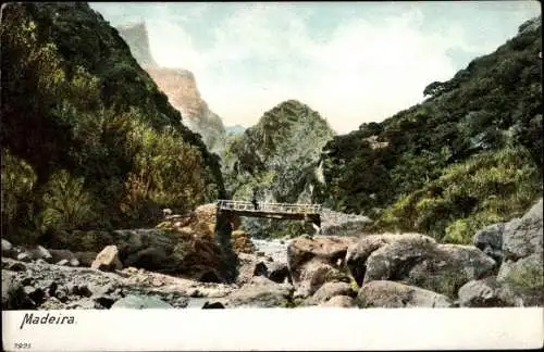 Ak Insel Madeira Portugal, Flussbett, Brücke