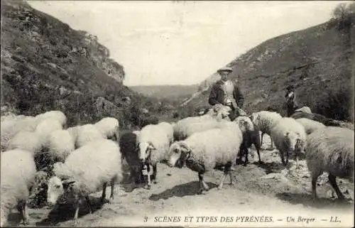 Ak Hautes Pyrénées, Un Berger