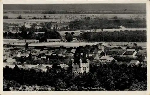 Ak Bad Schmiedeberg Sachsen Anhalt, Blick auf den Ort, Windmühle