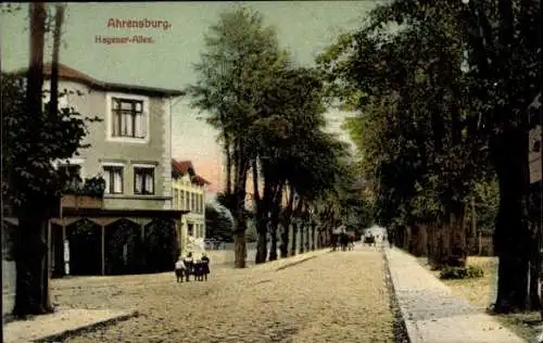 Ak Ahrensburg in Holstein, Hagener Allee