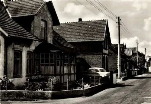 Ak Stein in Schleswig Holstein, Partie im Ort, Wohngebäude