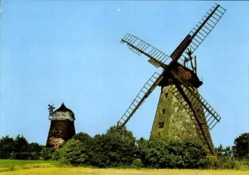 Ak Woldegk in Mecklenburg, Mühlenberg, Windmühle