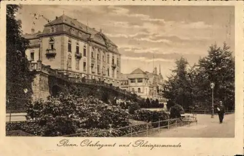 Ak Bonn am Rhein, Oberbergamt, Rheinpromenade